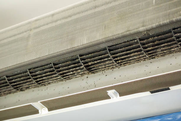 Best Air Duct Cleaning Near Me  in Baldwin, LA